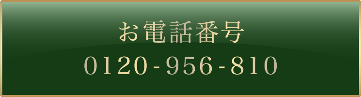 ご新規様お問い合わせ番号 0120-956-810